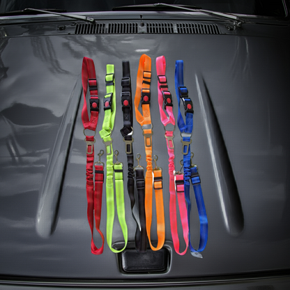 Dog car Seat Belt – Buzzibeanz Safety Gear