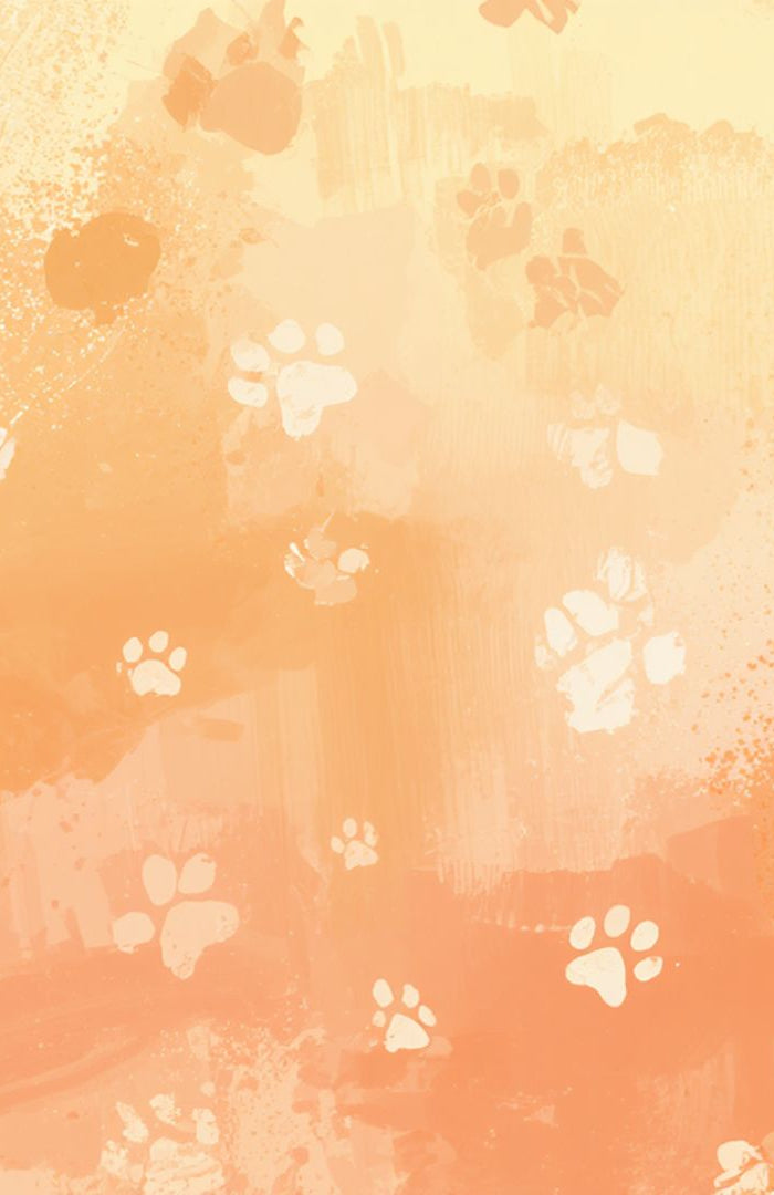 <h1>How can we help you?</h1>