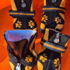 Orange / Eight (8)