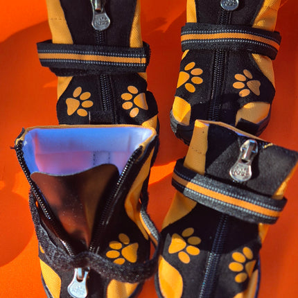 Dog boots | Paw Protection for Everyday Walks