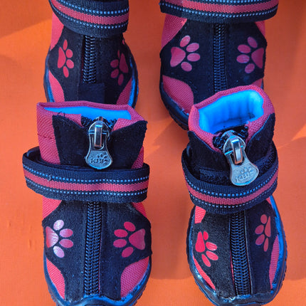 Dog boots | Paw Protection for Everyday Walks