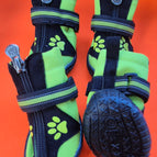 Green / Eight (8)