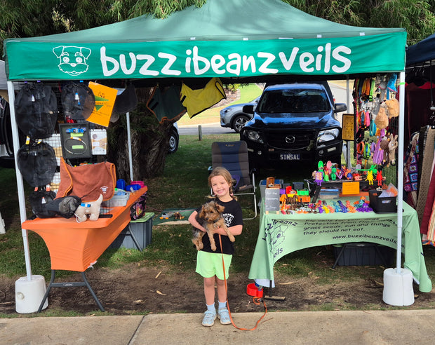 Banner image for: <h2><br/>Out and About with Buzzibeanz<br/></h2>